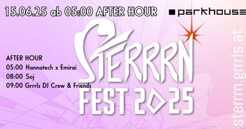🔊STERRN FESTIVAL 2025 🔊Afterhour 🔊