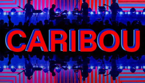 Caribou live in Graz!