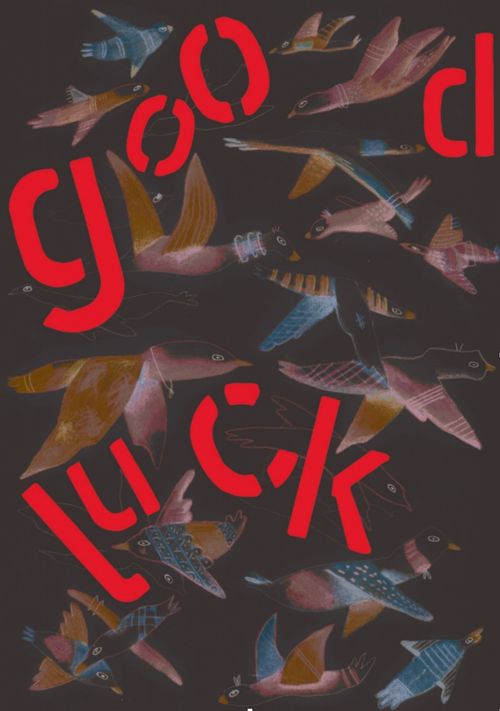 Good Luck. Die Gorkbauers fokussieren Viktoria Taucher. Artist Talk